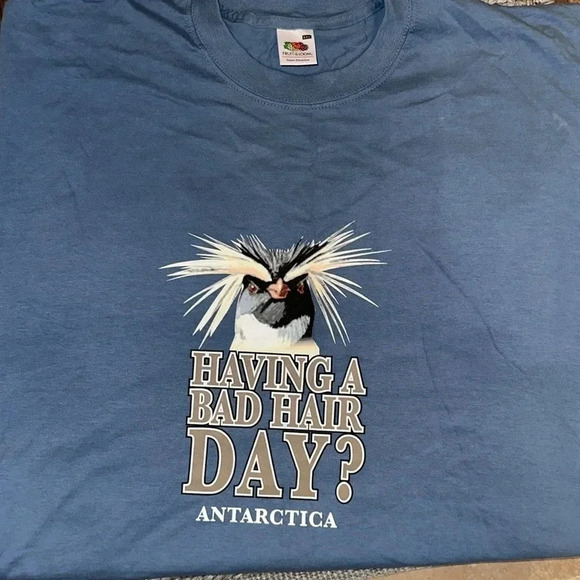 TIT mouse bird Graphic Antarctica Short Sleeve TShirt 2XL Fruit of The Loom - Picture 2 of 3